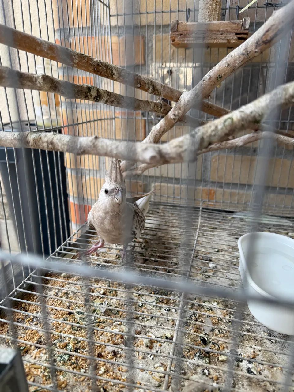 Vendo ou Troco - Foto 4