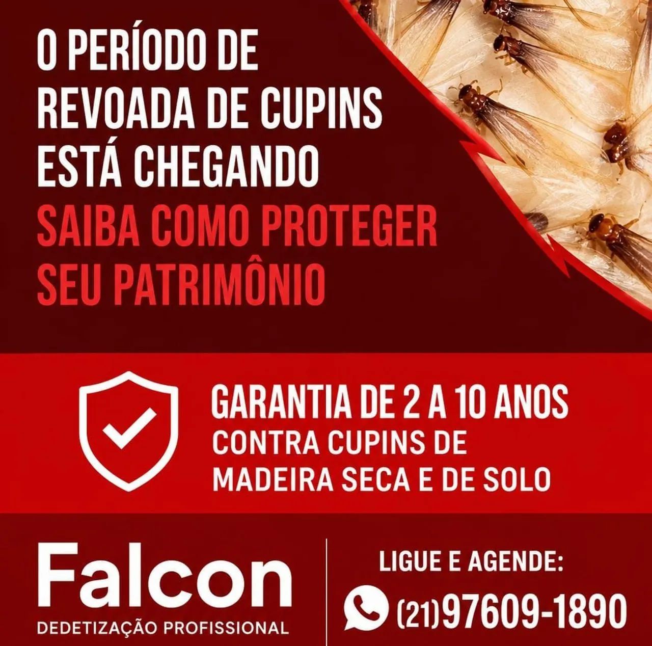 Solução contra CUPINS
