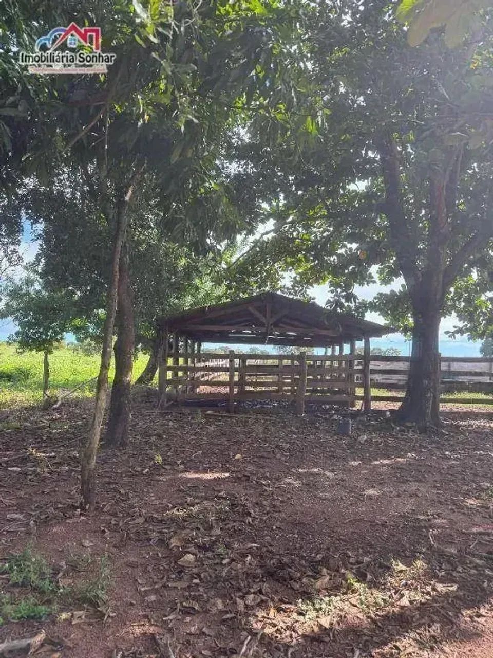 Fazenda no município de Aliança do Tocantins/TO - Foto 5