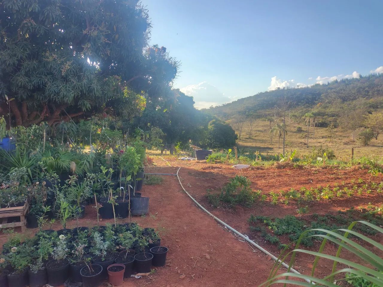 FAZENDINHA - PRÓXIMO DE MONTES CLAROS  - Foto 2