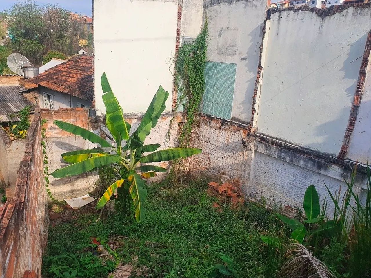 Foto - Paraisópolis - 
