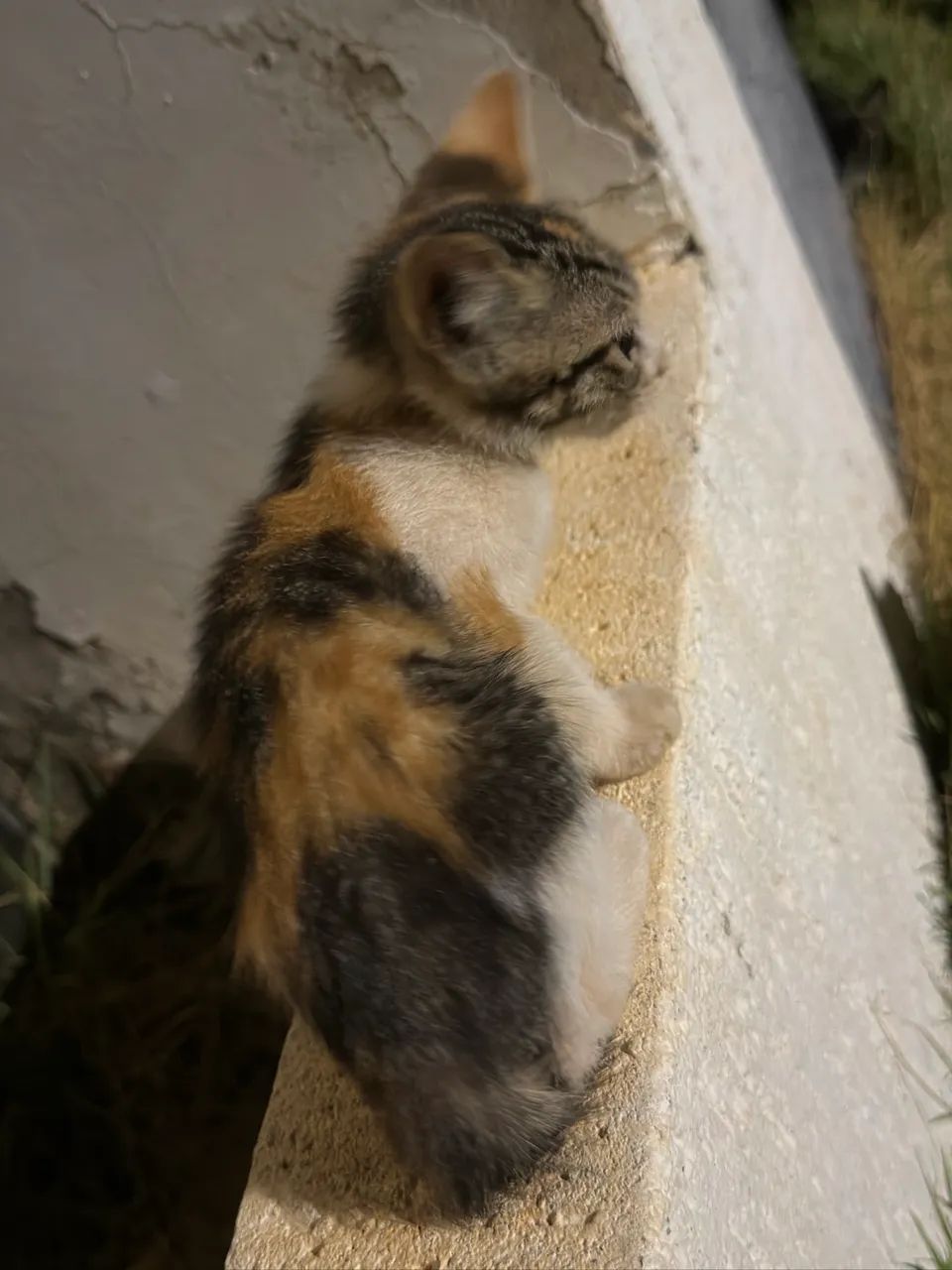 Doação  - Foto 5