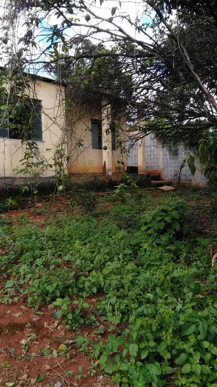 TERRENO EM COROAS - Foto 5