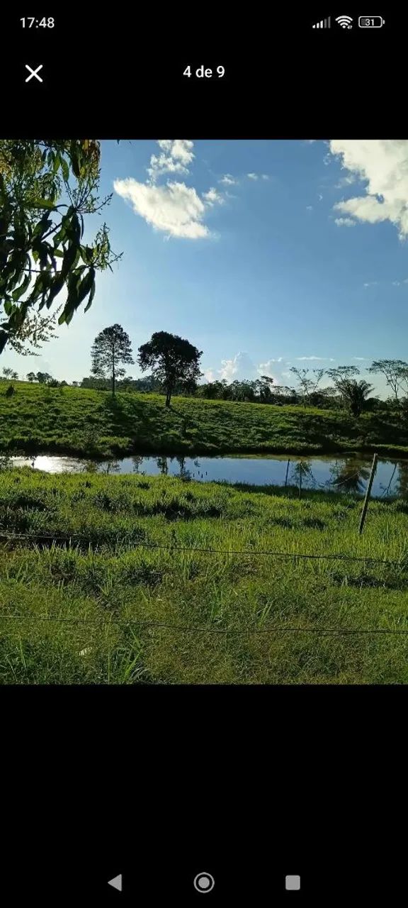 vende-se Sitio  - Foto 4