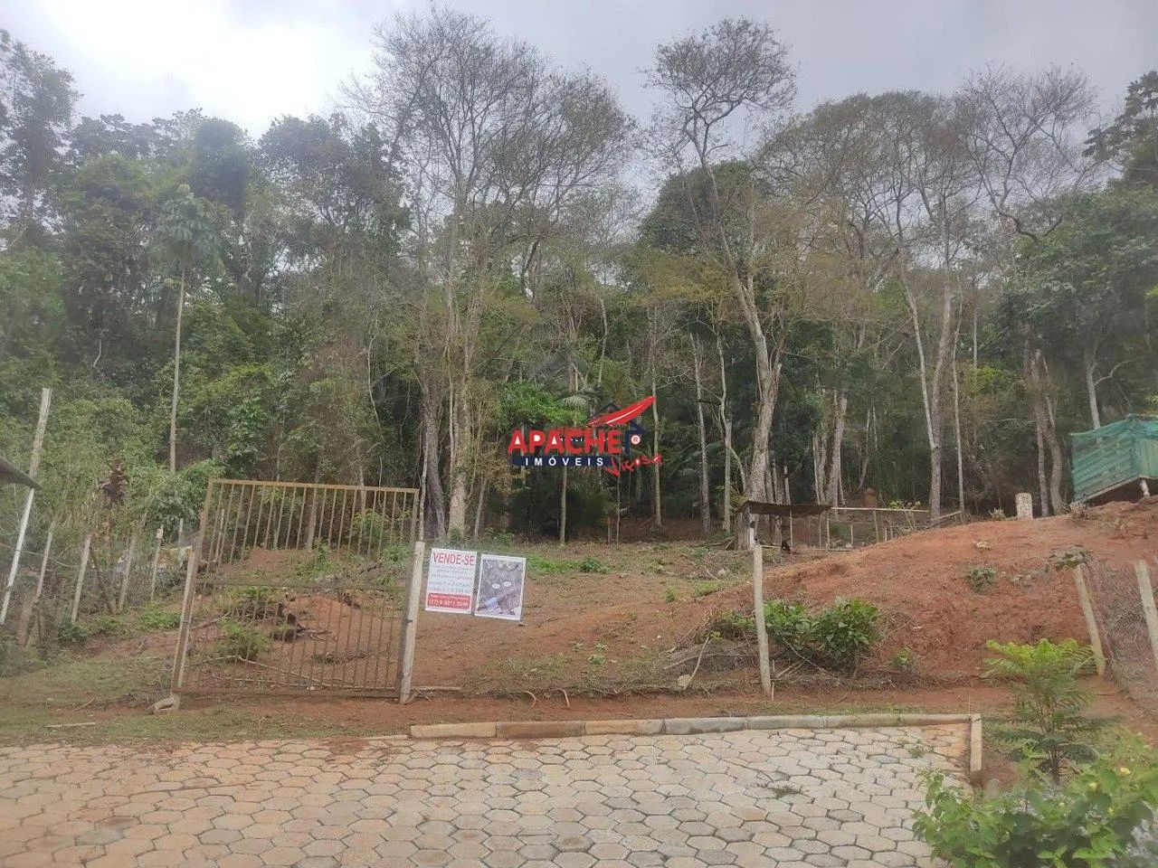 Lote à Venda em Viçosa - Inácio Martins - Foto 5