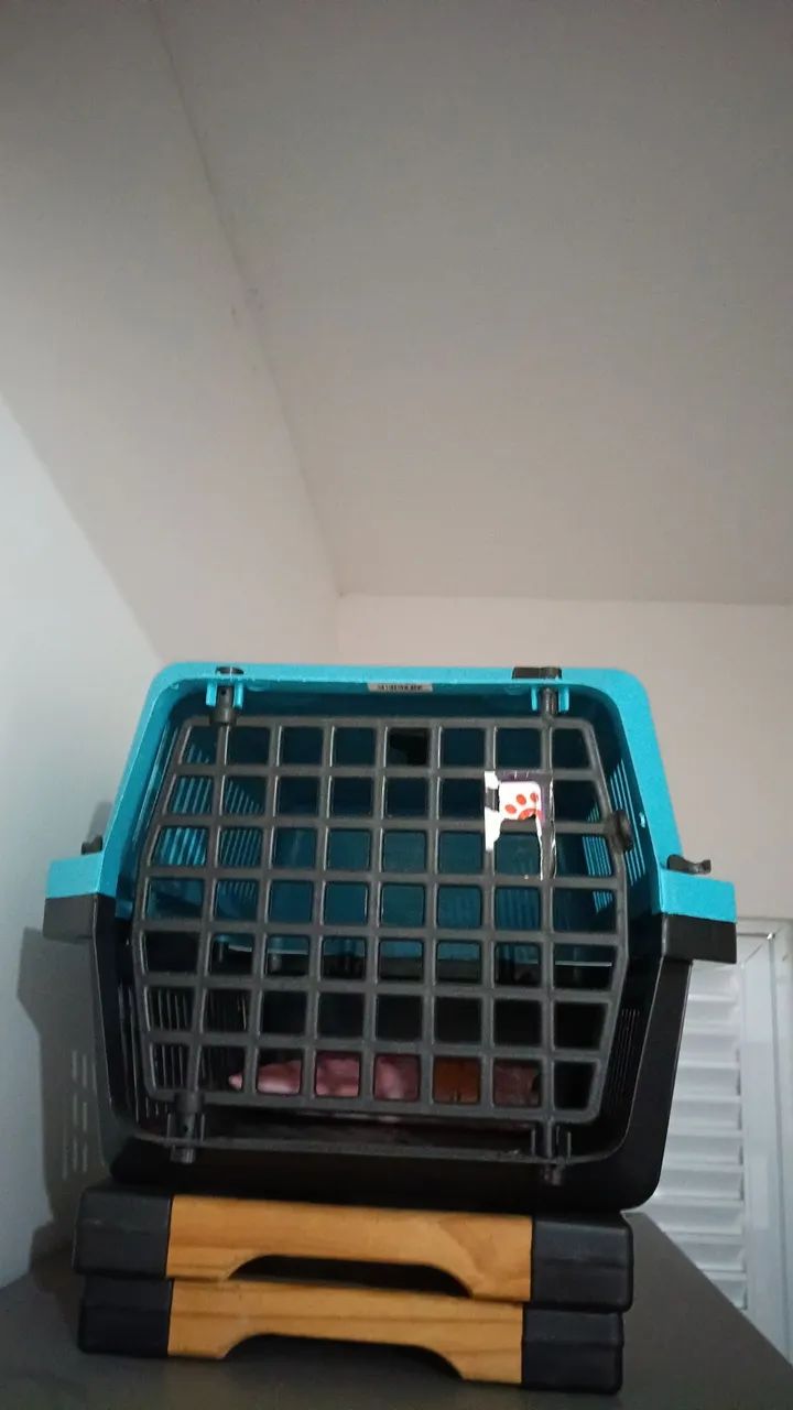 Caixa de Transporte Grande 5 para pets - Foto 2