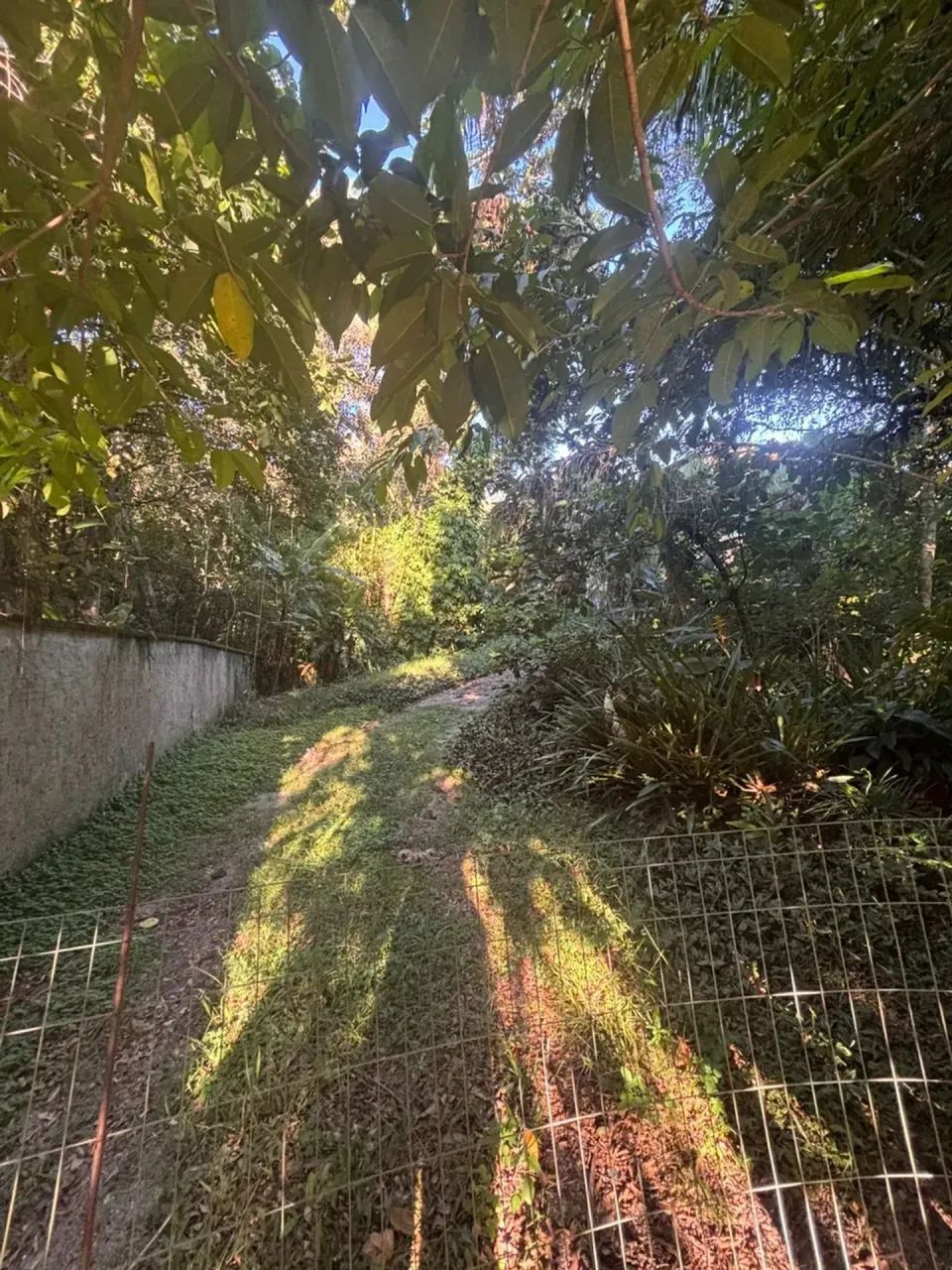Terreno Residencial/Comercial com 7.488m², no bairro Cacupé em Florianópolis - Foto 3