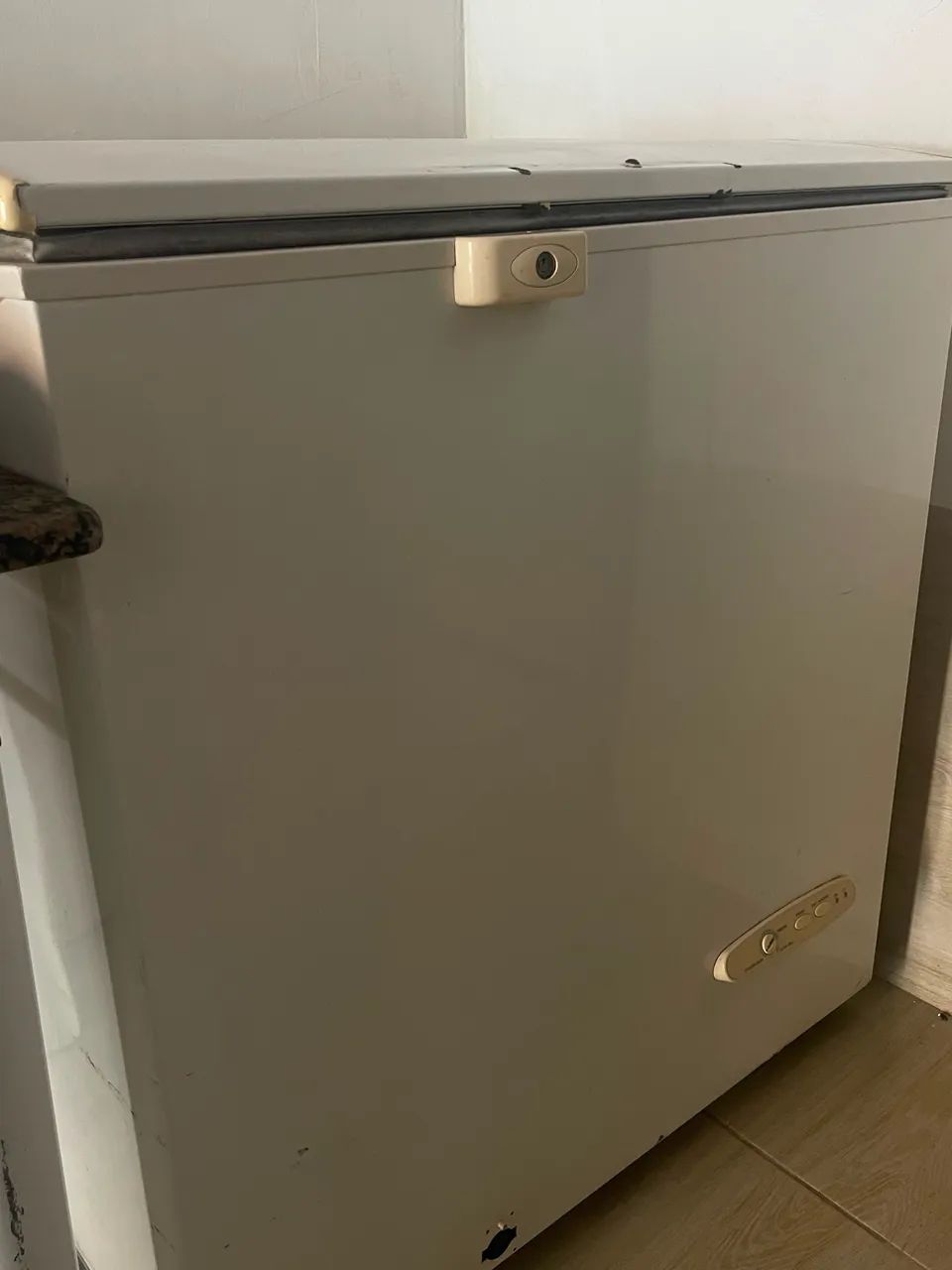 Freezer Electrolux  - Foto 5