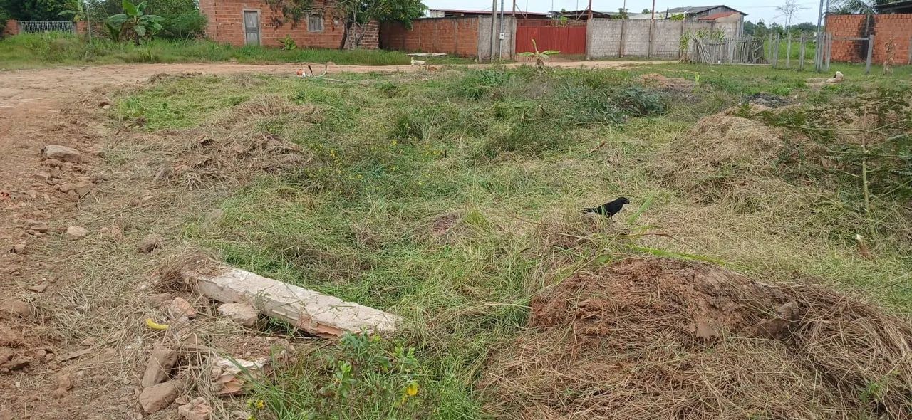 Terreno  - Foto 2