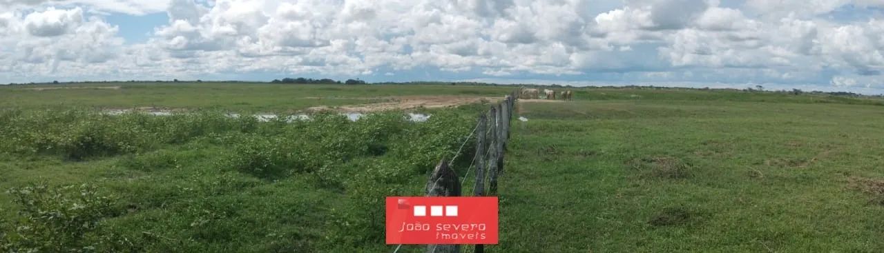 Fazenda para Venda em Poconé - Foto 2