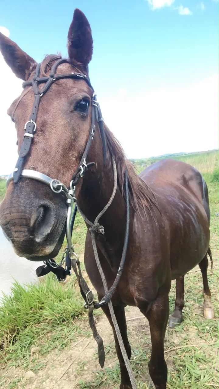 vendo ou troco  - Foto 2
