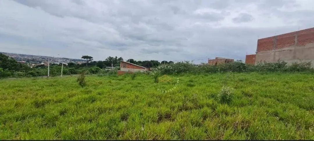 Terreno à venda, 175 m² - Jardim Caiman - Campinas/SP - Foto 2