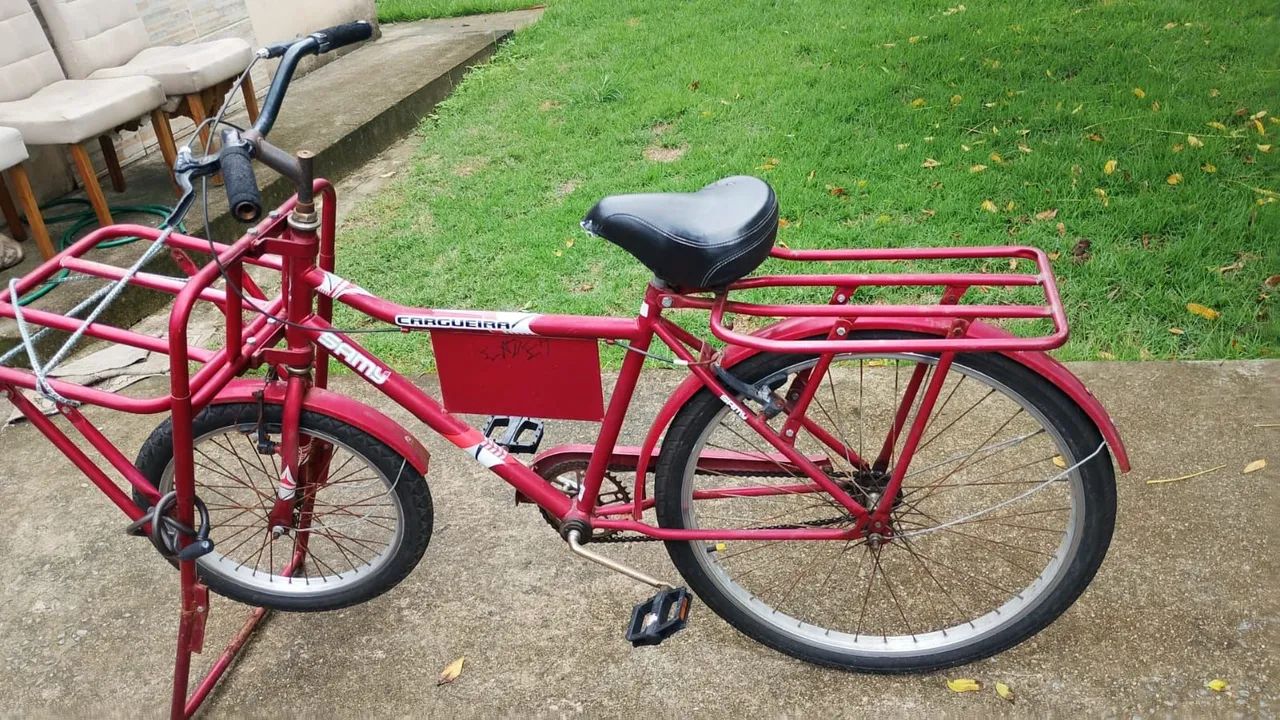 Bicicleta cargueira 