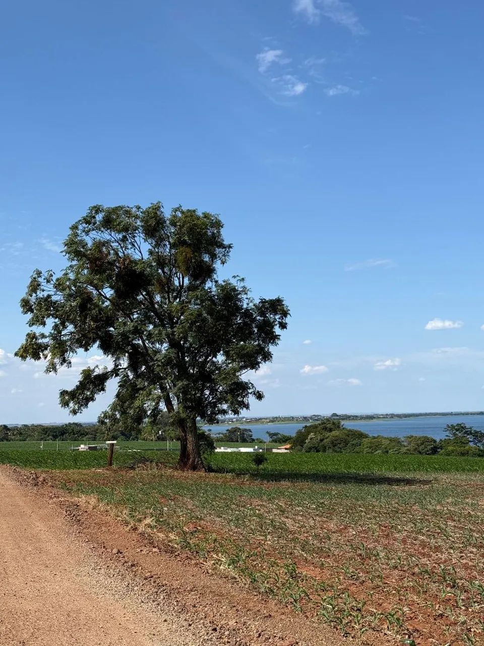 Vende-Se Uma Chácara em 1º De Maio-Pr C/ Acesso ao Rio R$70mil ou Entrada Mais Parcelas  - Foto 10