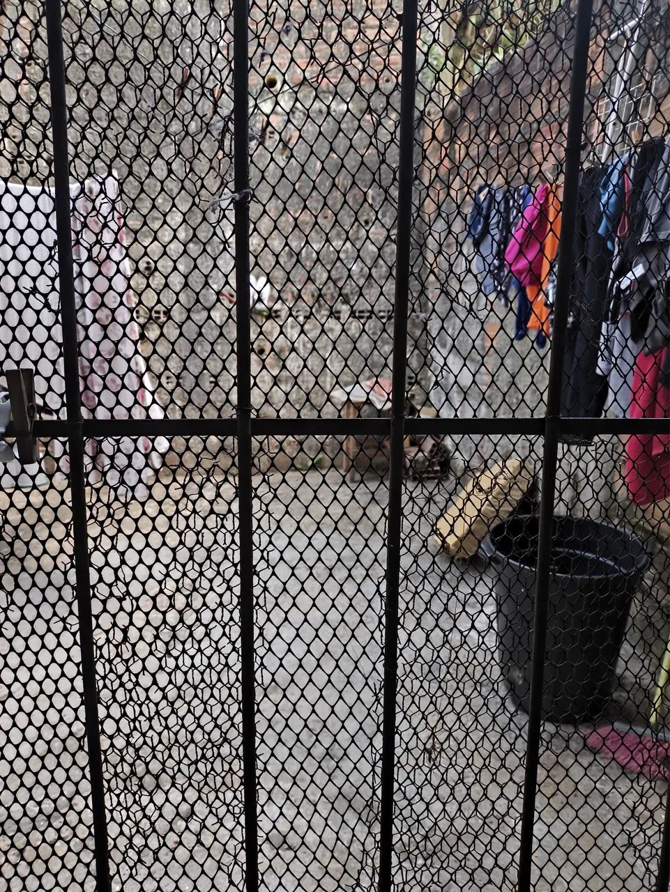 Venda ou troca  - Foto 4