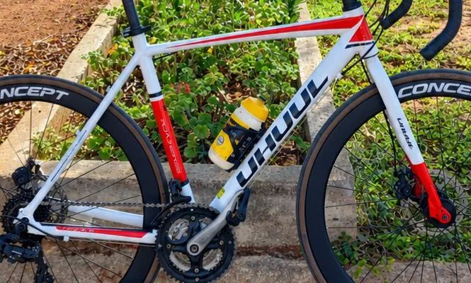 Quadro Speed 53