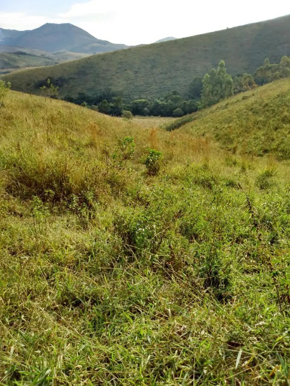 Ótima oportunidade !! Não perca  - Foto 5