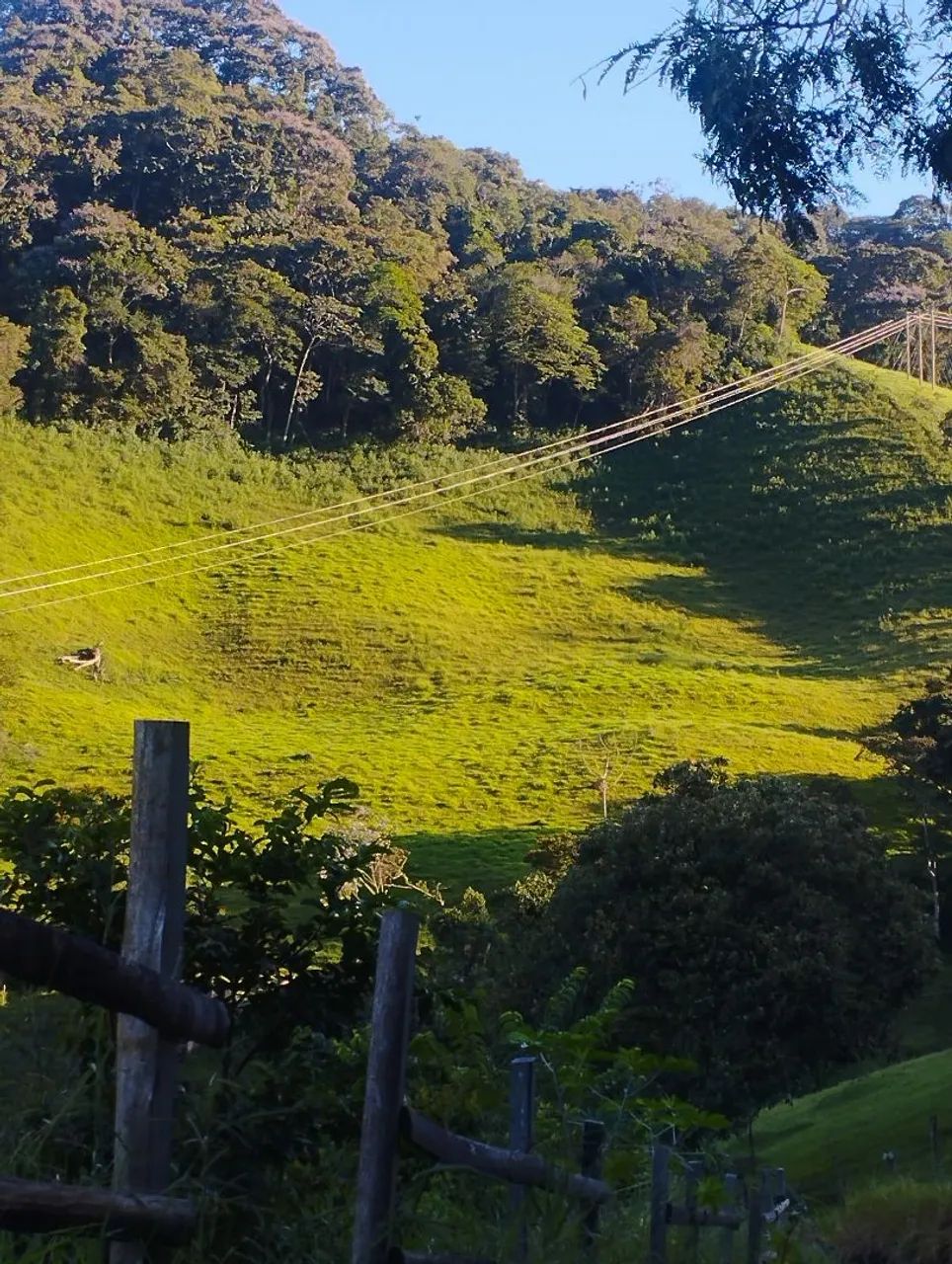 Vendo terreno em Itamonte Mg  - Foto 3