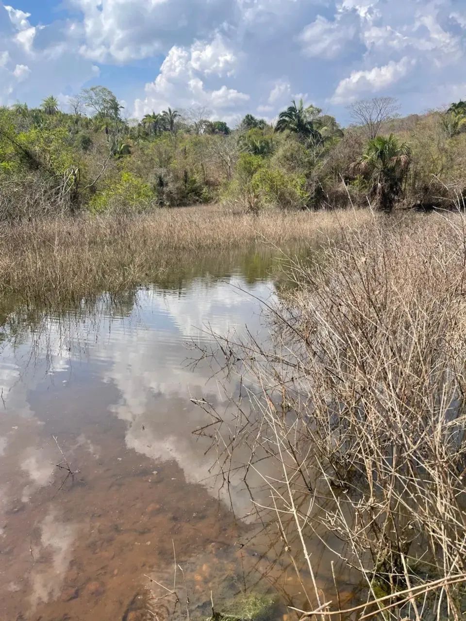 Fazenda em Uruaçu - Foto 3