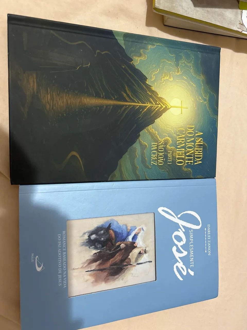 Livros católicos 