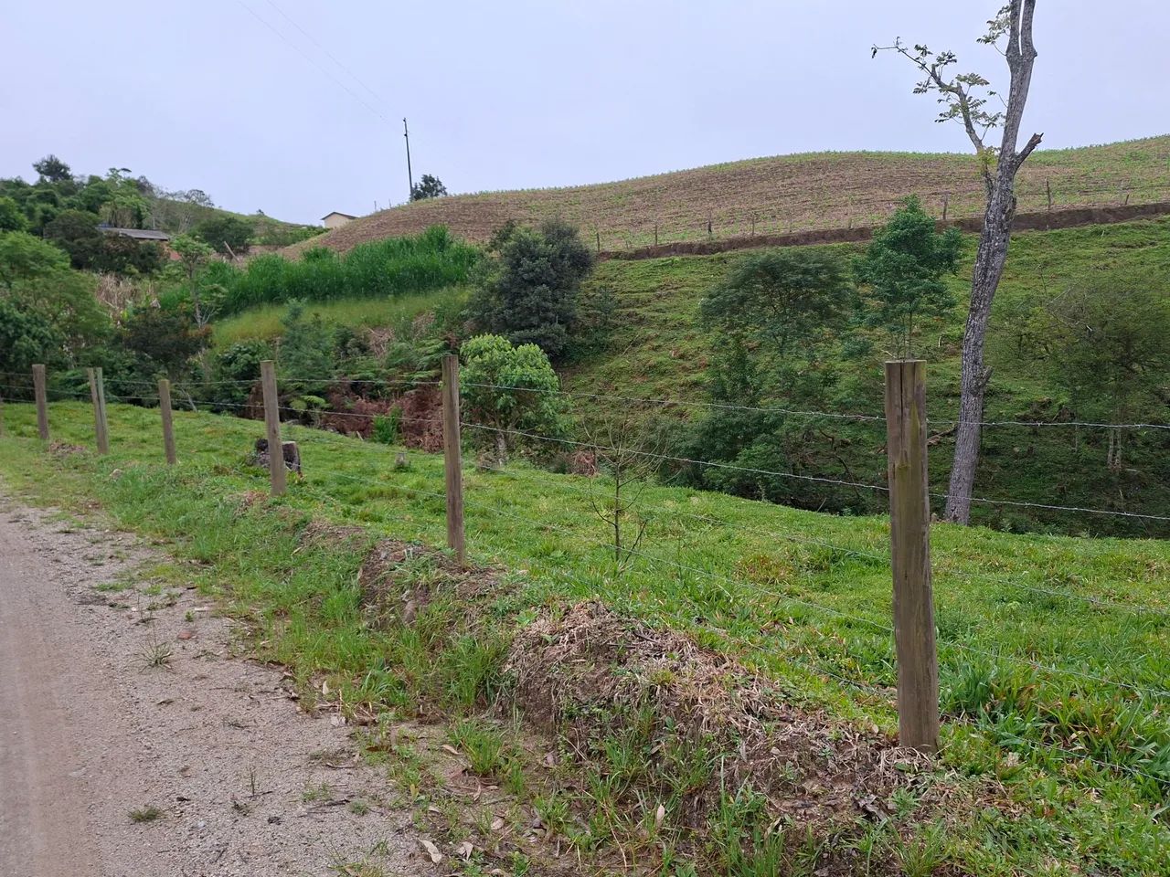 Sítio  - Foto 5