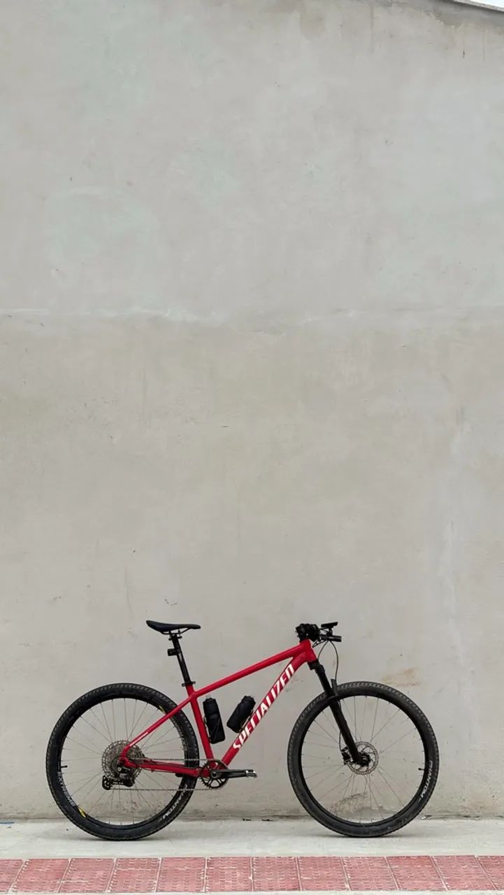 Specialized rockhopper L