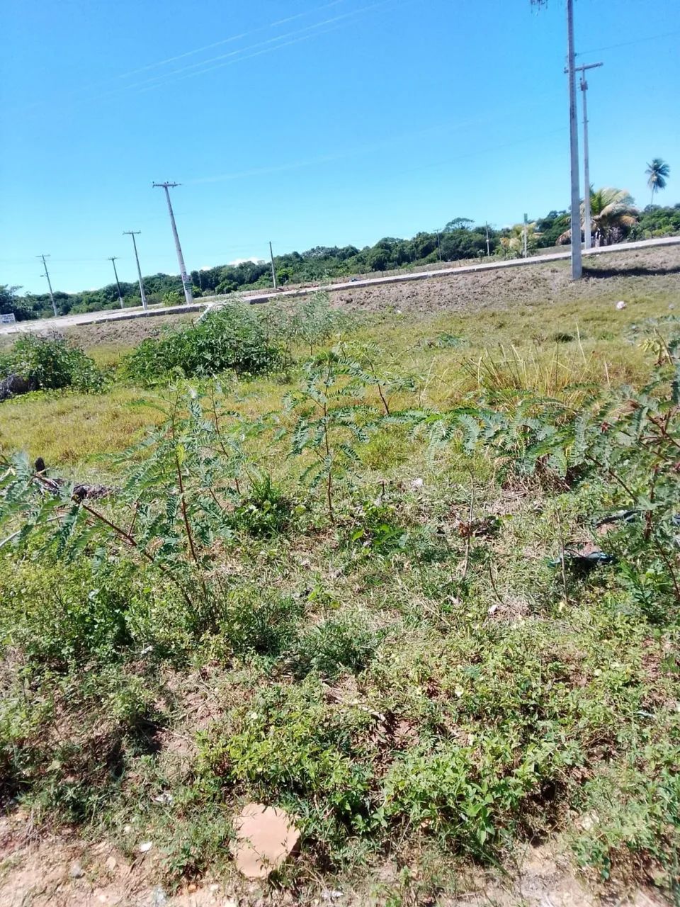 Terreno no abais - Foto 2