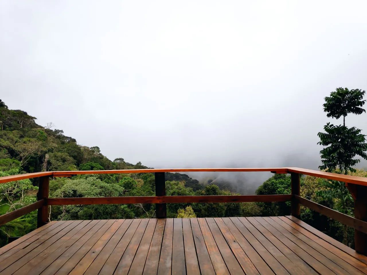 Sítio com casinha rústica e visual deslumbrante! - Foto 3