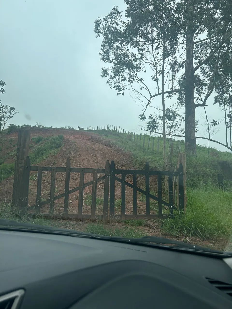 Foto - São José dos Campos - Jardim Apolo I