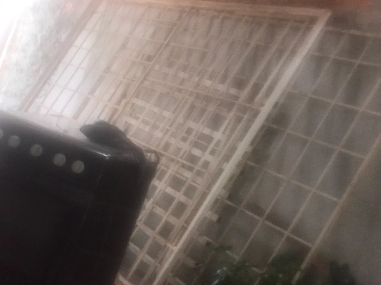 Portão 3 - Foto 4