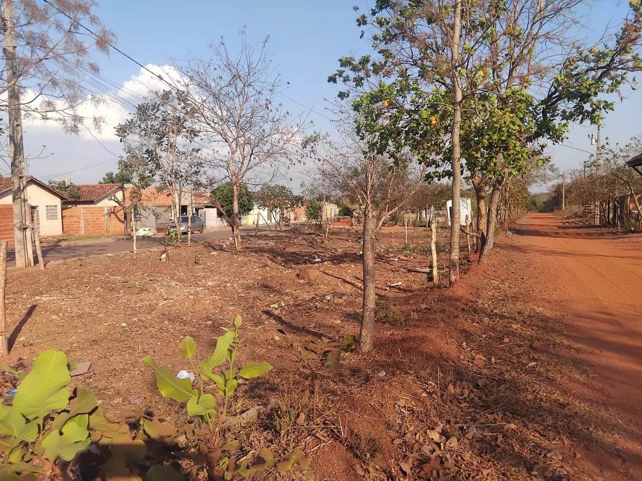 Terreno  - Foto 4