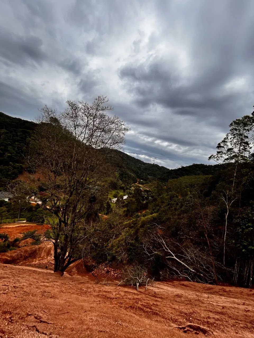 Terreno 20.000m2 - Foto 4