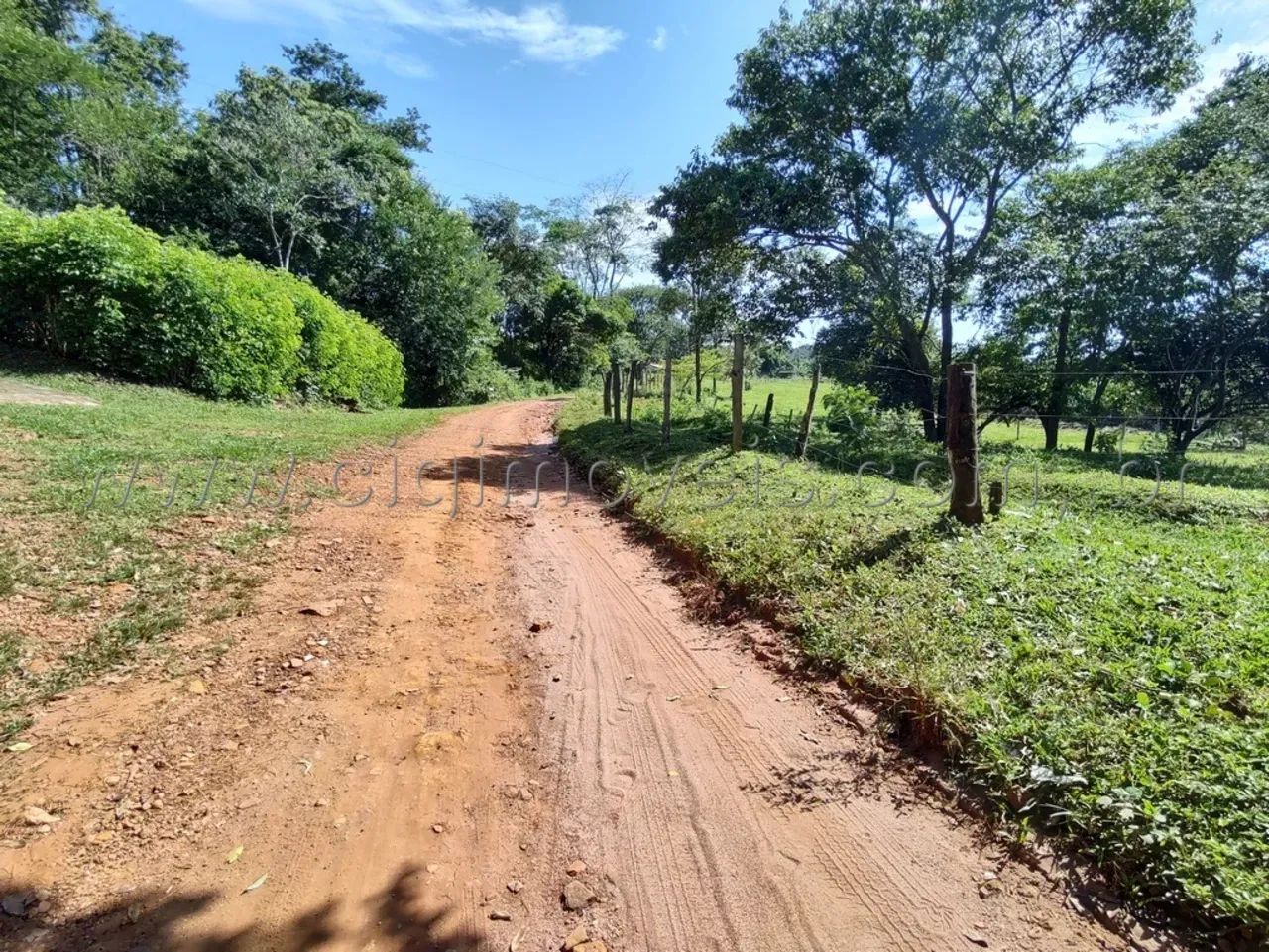Chácara Próximo à Nerópolis-GO - Foto 5