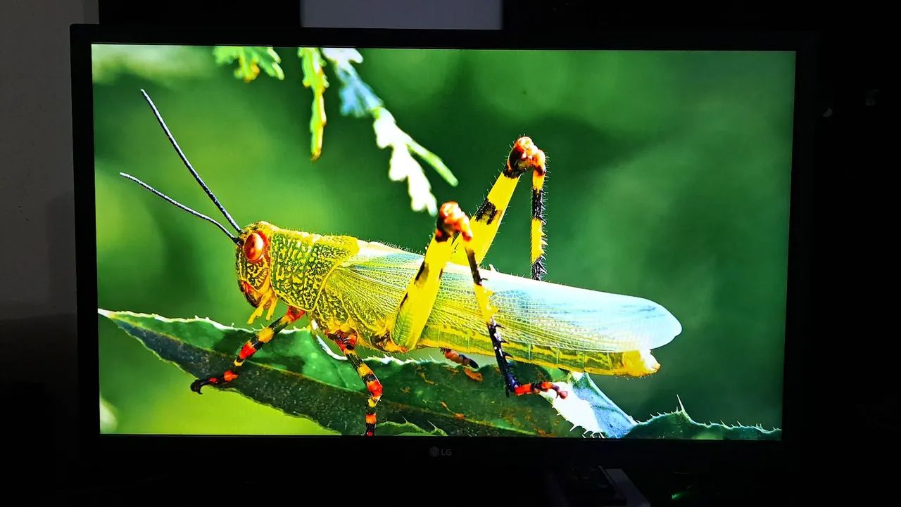 Monitor LG 24MK430M-B 24" Full HD IPS 75Hz + Caixa Original