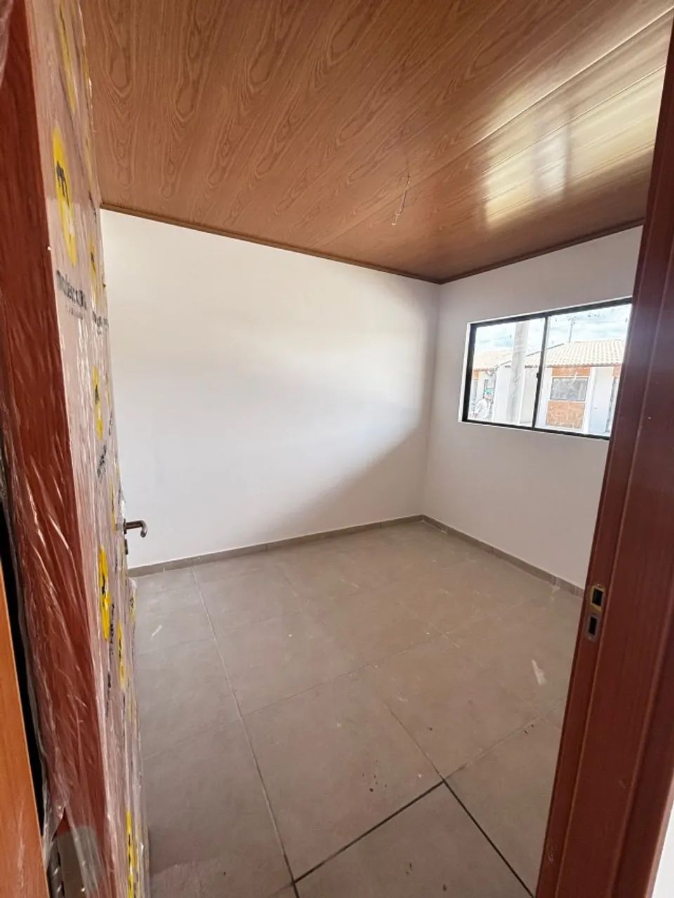 de folhagem decorativa e amplamente cultivada - Foto 3