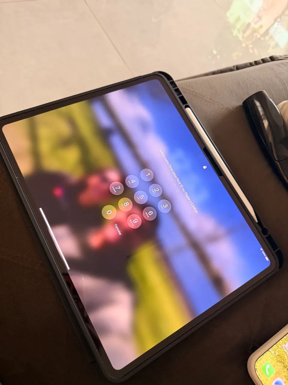 IPad Pro 13 M4 256 gigas Wi-Fi + Celular + Apple Pencil Pro