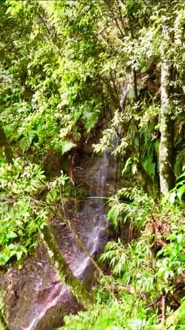 Chácara com cachoeira em Urubici - Foto 8