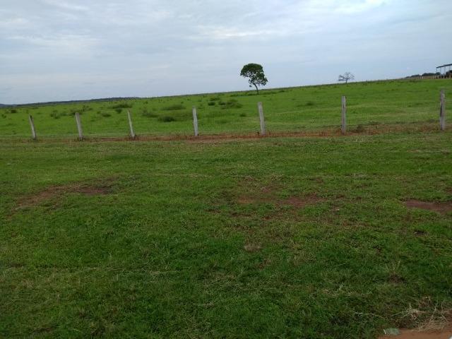 Fazenda 9.900 ha São Felix Do Araguaia - Foto 4