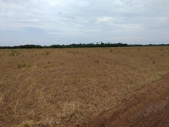 Fazenda 9.900 ha São Felix Do Araguaia - Foto 10