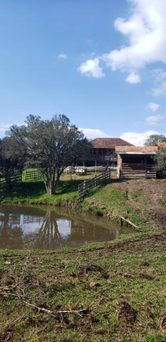 Sítio em Urubici/área rural /casa em Urubici - Foto 19