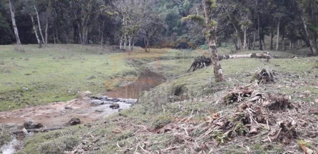 Chácara para venda, barra da cruz - Foto 18