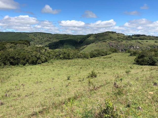 Fazenda 86 hectares Cazuza Ferreira - Foto 3