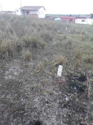 Vendo ou troco esse terreno no loteamento Canaã em lagoa do carro - Foto 2