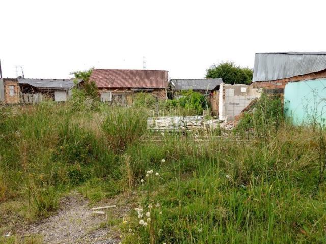 Terreno à venda em Borda do campo, São josé dos pinhais cod:11546.001 - Foto 3
