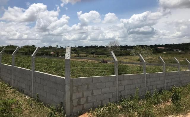 Terreno para chácara, no retiro de Coração de Maria - Foto 3