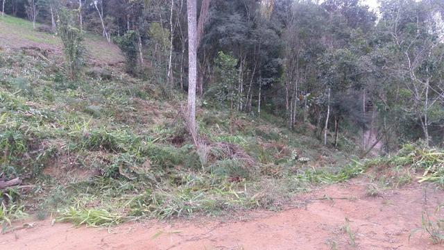 Terreno parcelado alto gasparinho - leia o anúncio - Foto 5