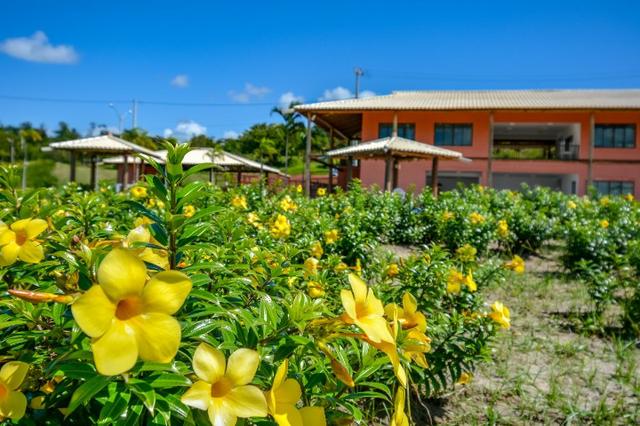 Condomínio Costa de Itapema, lotes próximo a Feira de Santana, em Santo Amaro - Foto 4