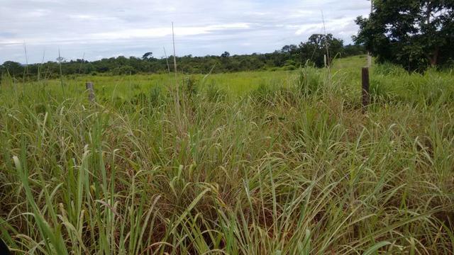 Vendo Fazenda com 1.523 Hectares na região do Manso - Foto 10