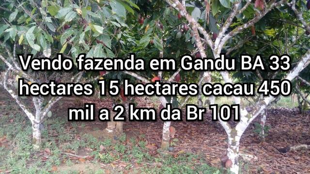 Vendo fazenda em Gandu BA