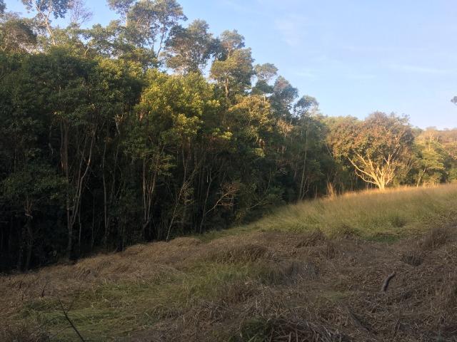 GE compre seu terreno plano para começo do ano por apenas: R$1.000 de entrada 500m2. - Foto 4